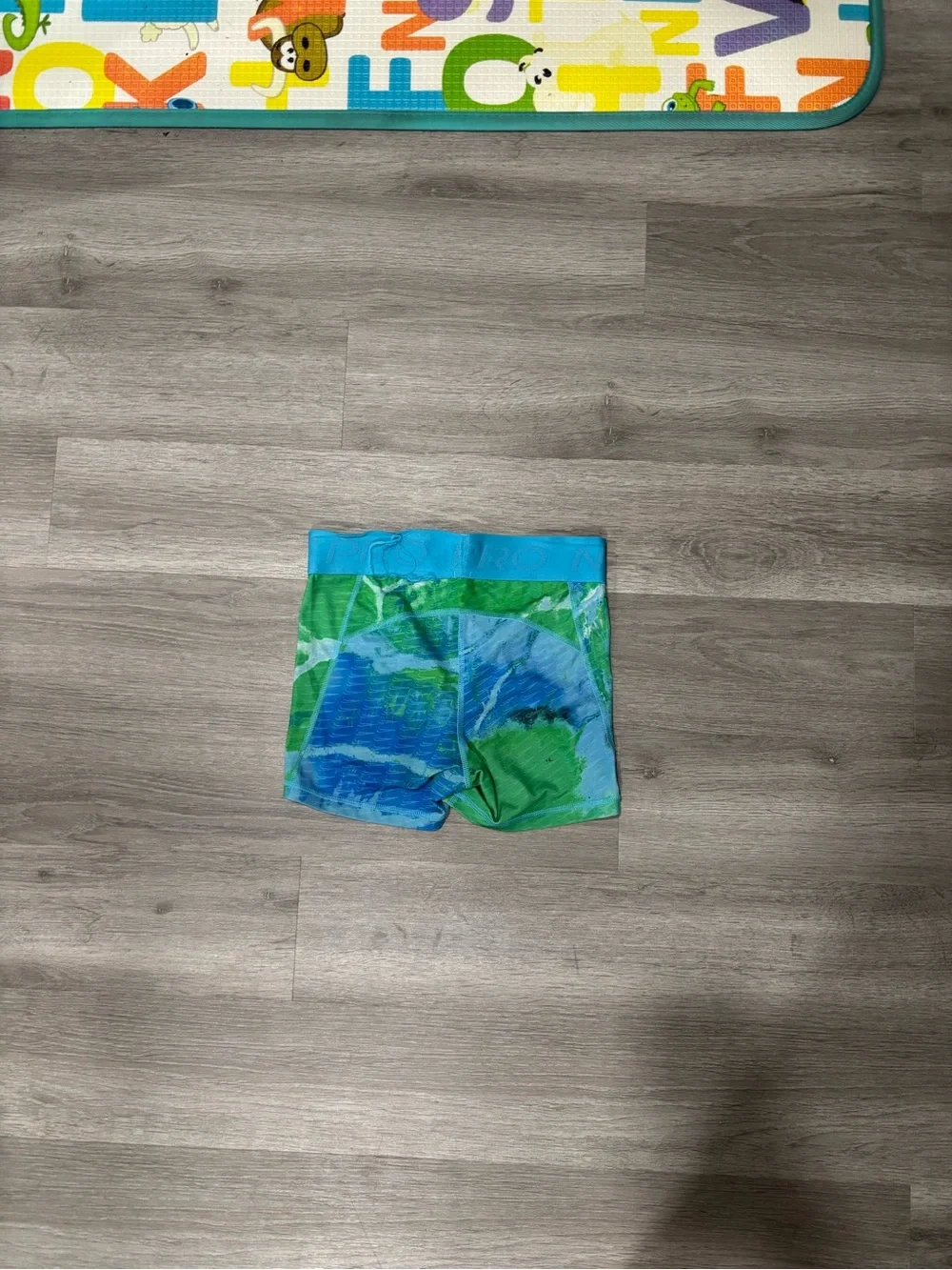 Nike Green and Blue Swim/Active Shorts